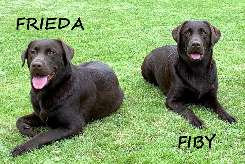 Frieda und Fiby Wesenstest 090619 001